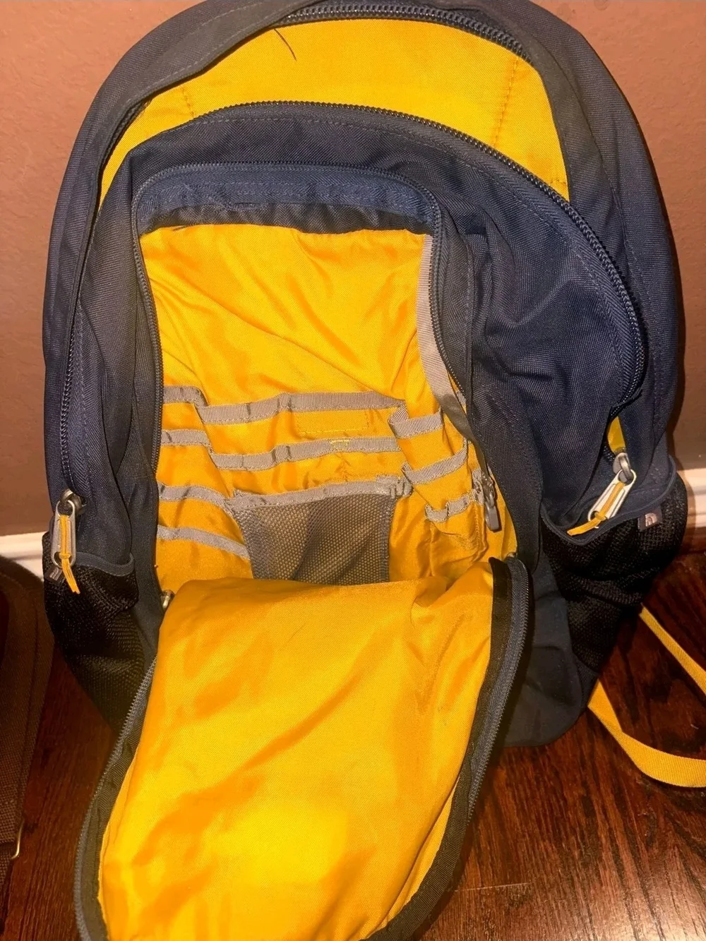 The North Face Blue & Navy Jester Backpack